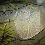 Interne Verlinkung im Blog: Orientierung und Sichtbarkeit auf gemenet.de